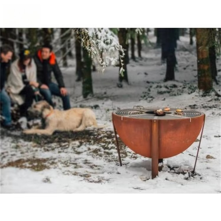 Barbecue Grill Camping Fire Pi - Camping Cooking Fire Pit recension och pris